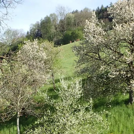 Zirbenchalet Obergruben