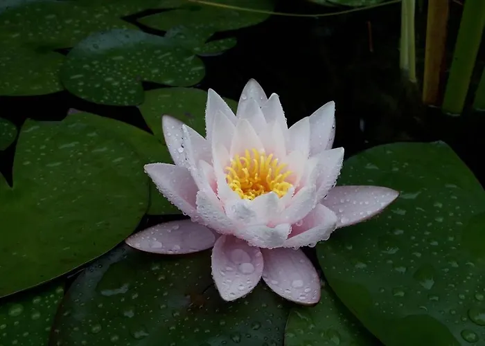 Zirbenchalet Obergruben * Brixlegg