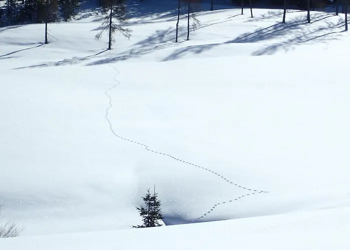 Apartamento Zirbenchalet Obergruben