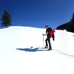 דירה Zirbenchalet Obergruben בריקסלג